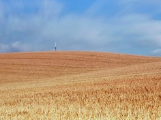 爱游戏APP下载基地展示6