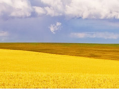 爱游戏APP下载基地展示4