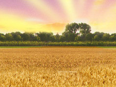 爱游戏APP下载基地展示3