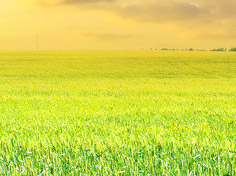 爱游戏APP下载基地展示1